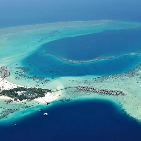 Constance Moofushi-2